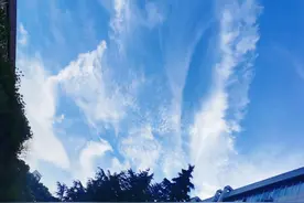 胎动-怀孕期间最美的感觉图片