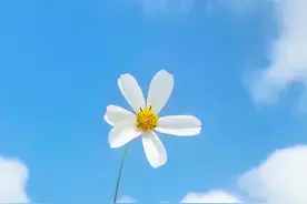 微信上，最好别去打扰不群聊，也不发朋友圈的人图片