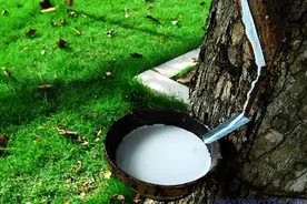 乳胶床垫为什么那么贵？图片