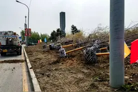 大美沈阳你我共建丨沈阳经开区三环出入口及重点街路启动“一键美颜”图片