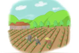 真假“敖汉小米”难分辨，检察建议一招整治！图片