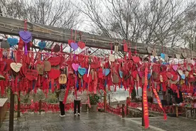 申领独生子女父母奖励补贴图片