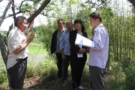 谢氏寻根记——寻找先祖的足迹图片