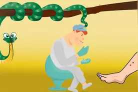 海蛇究竟有多危险？科学家称，有一种情况下海蛇会追着你咬图片