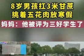 8岁男孩被评三好学生，把奖励“扛”回家，妈妈骄傲：走路都带风图片