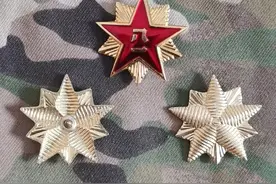 退役徽章欣赏（八七式三军领花）图片