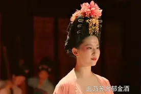 梦华录：赵盼儿往苏合郁金酒里放了什么？为何能缓解皇帝的头痛？图片