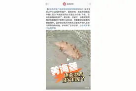 养海参、坐轮渡，都有可能被间谍利用。“敌特”从来没有远去过。图片