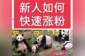 抖音如何快速涨粉图片