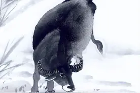 2023年容易发横财的3个生肖，生活富裕，日子咸鱼翻身图片