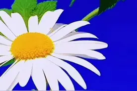 因为，我爱你，所以，我想你图片