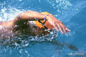 全浸式自由泳教学视频完整版，中文讲解图片
