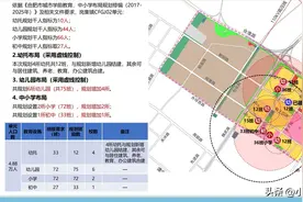 合肥岗集拓展区弥补公办教育的缺失，迎来教育大爆发图片