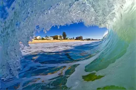 企业如何应对比黑天鹅、灰犀牛更可怕的疯狗浪？图片