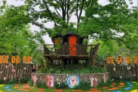 300亩森林主题农场，为何每年能接待20万人次，收入3000万？图片