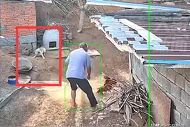 笑不活了！外孙羊圈外遭到鸡袭击，狗子：你说你没事惹这阎王干啥图片