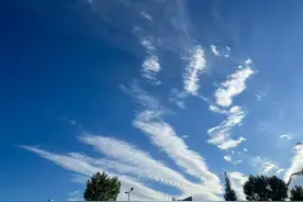 一见钟情是性的冲动还是爱的驱使？图片