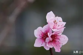 人生低谷时，做到以下三点，你就能慢慢走出困境图片