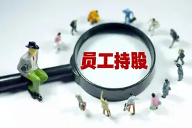 利益驱动，员工持股计划受追捧是必然图片