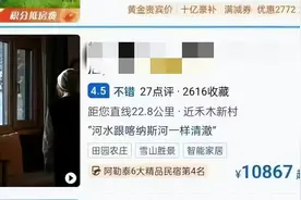 独库公路成“堵哭”公路，房价过万，有什么可以取代夏季的新疆？图片