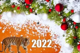 速览！俄罗斯官方节日图片