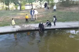 英雄不老！65岁战友纵身一跃，耗尽体力托举男孩上岸！图片