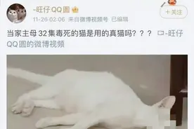 《当家主母》虐猫上热搜：为拍剧竟毒死真猫，剧组疯狂洗白惹争议图片