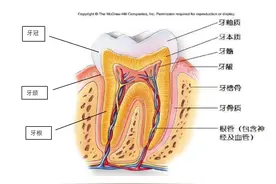 我们的目标是没有蛀牙，本文将告诉你牙齿应该怎么护理图片