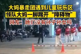 街头暴走团又一次惹众怒：脚踢路障，旁若无人碾压儿童游乐区图片