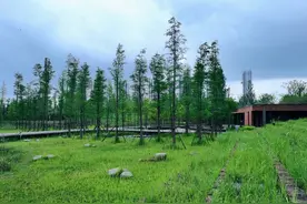 周末打卡昆明7个让你去了还想去的湿地公园，最重要的是免费图片