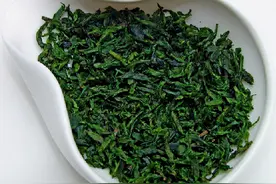 是谁神化了余庆小叶苦丁茶，余庆小叶苦丁茶是骗局吗图片