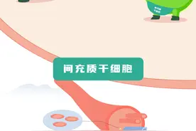 脐带中那些宝藏细胞资源，你知道多少？图片