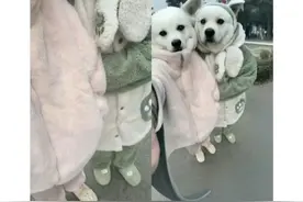 AI扩图风靡 律师提示有侵权风险图片