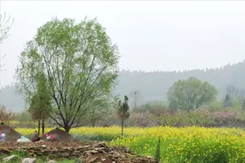 清明将至，老人说“上坟三忌，一年顺利”，上坟忌讳啥？有何说法图片