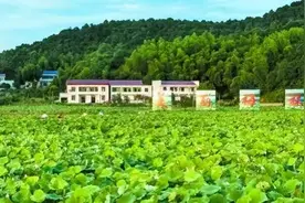 农村高价回收老物件，商贩究竟想干嘛？回收或是骗局，别被套路了图片