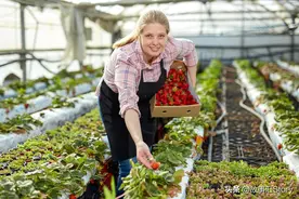 中国人在贝加尔湖边上种温室蔬菜，意外成为了当地的网红打卡圣地图片