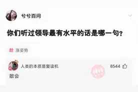 神回复：你们听过领导最有水平的一句话是什么？图片