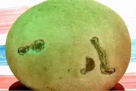 为了一块人家180元淘来的石头，他砸价28万，三番五次去吃闭门羹图片