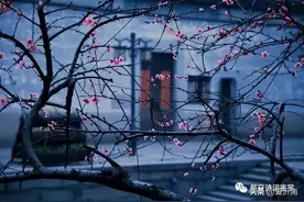 杜甫的一首诗，写尽人生的沧桑和无常图片