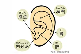 耳朵大的人真的更长寿有福吗？看看相关研究结果怎么说图片