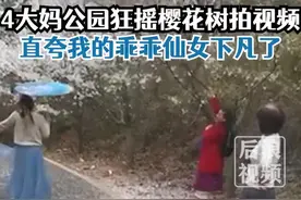 4位大妈公园狂摇樱花树拍视频，网友：人美行为太丑图片