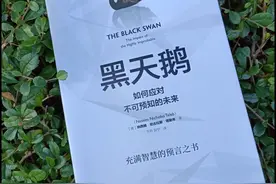 读了这本书才知道，原来《黑天鹅》随时随地都会出现图片