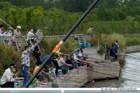 上海网红王者钓位大盘点，各个都鱼情暴躁，一位难求图片