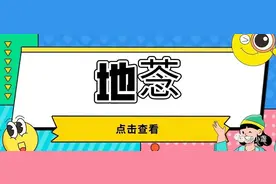 地菍一身都是宝图片