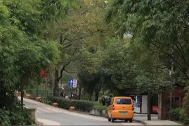 一天逛一座贵阳森林公园 | 春日午后，在阿哈湖国家湿地公园让风先走图片