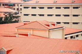 建房用合成树脂瓦每平方米多少钱？100平树脂瓦价格总共多少钱？图片