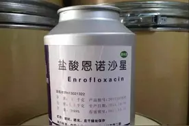 恩诺沙星怎么用，效果才最好图片