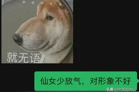 恋爱高情商回复语录，我又悟了图片