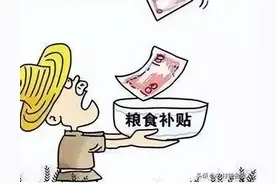 【种粮直补】农民一定要知道的国家补贴（二）图片
