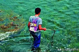 中听 ｜ 警方处罚男子自家鱼塘电鱼后纠错：既是普法也是警示图片